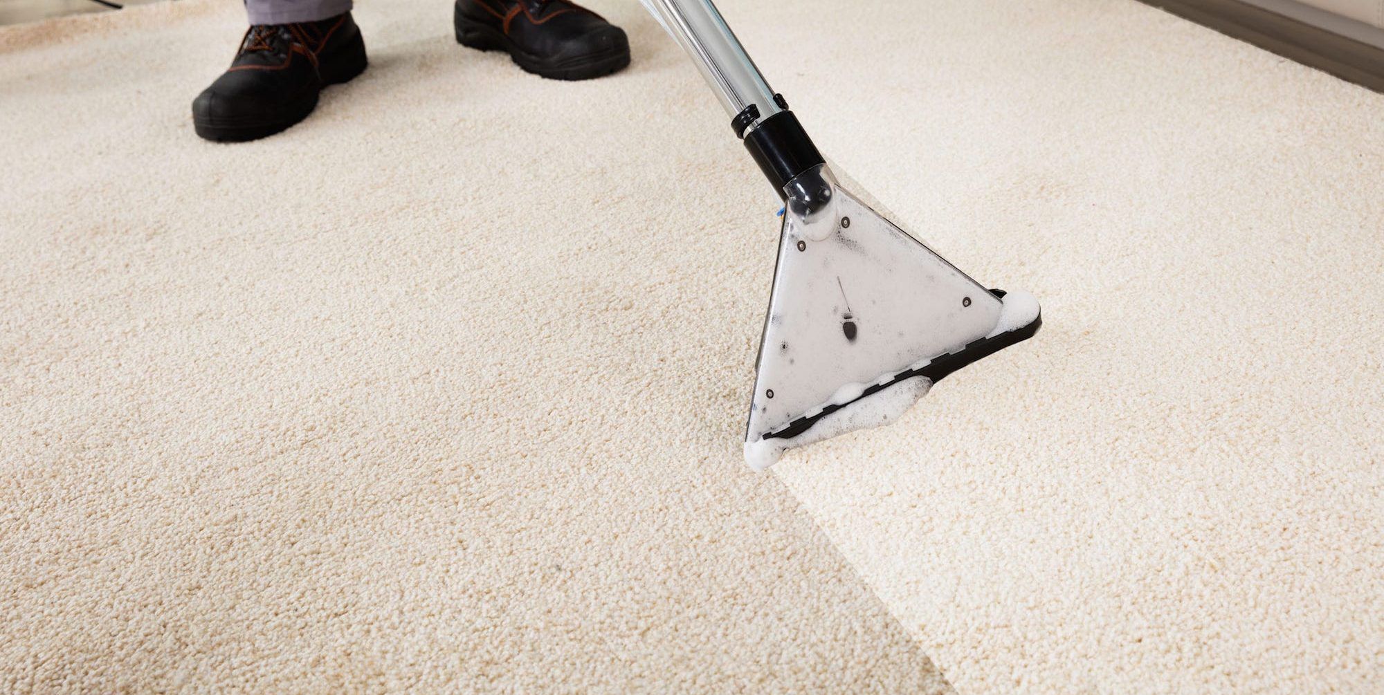 10 Best Carpet Cleaners Of 2021 — ReviewThis