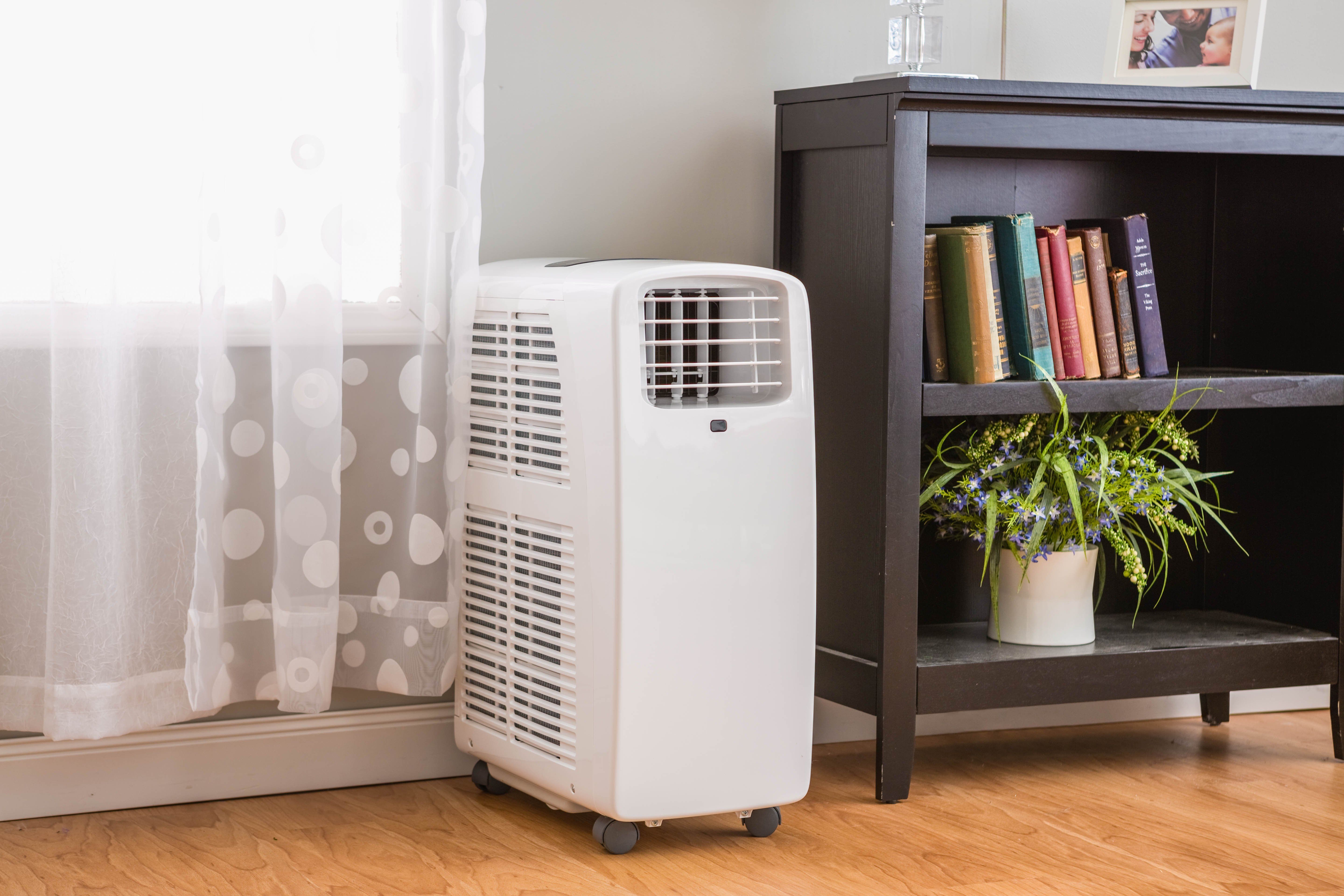 dehumidifier for upstairs living room