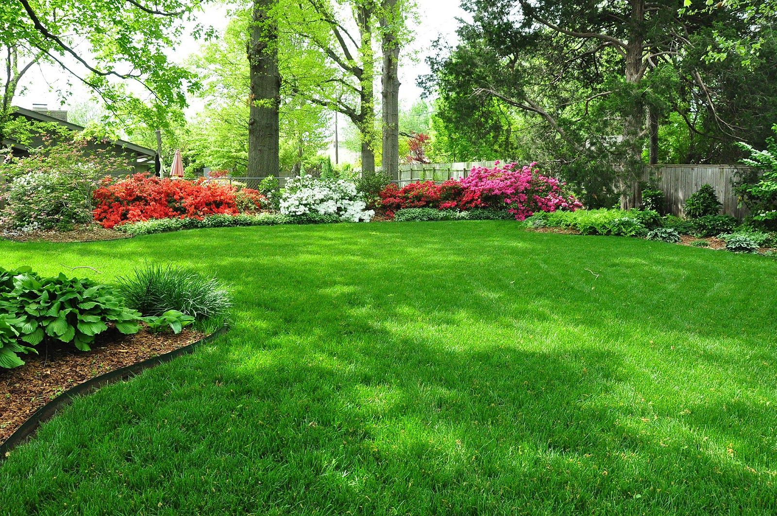 Grass Seed Or Sod: How To Choose | ReviewThis