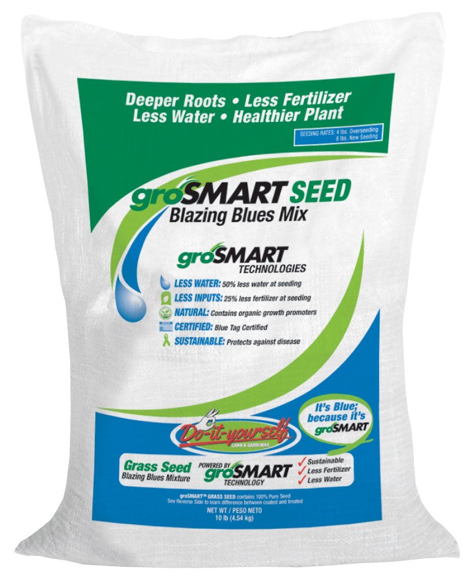 The Best Grass Seed Buyers Guide 2020 — ReviewThis