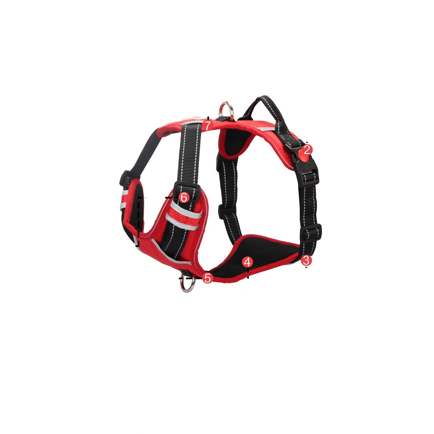 The Best Dog Harnesses of 2020 — ReviewThis