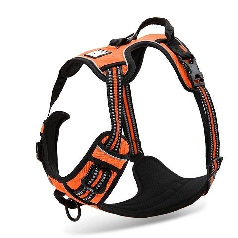 The Best Dog Harnesses Of 2020 — ReviewThis