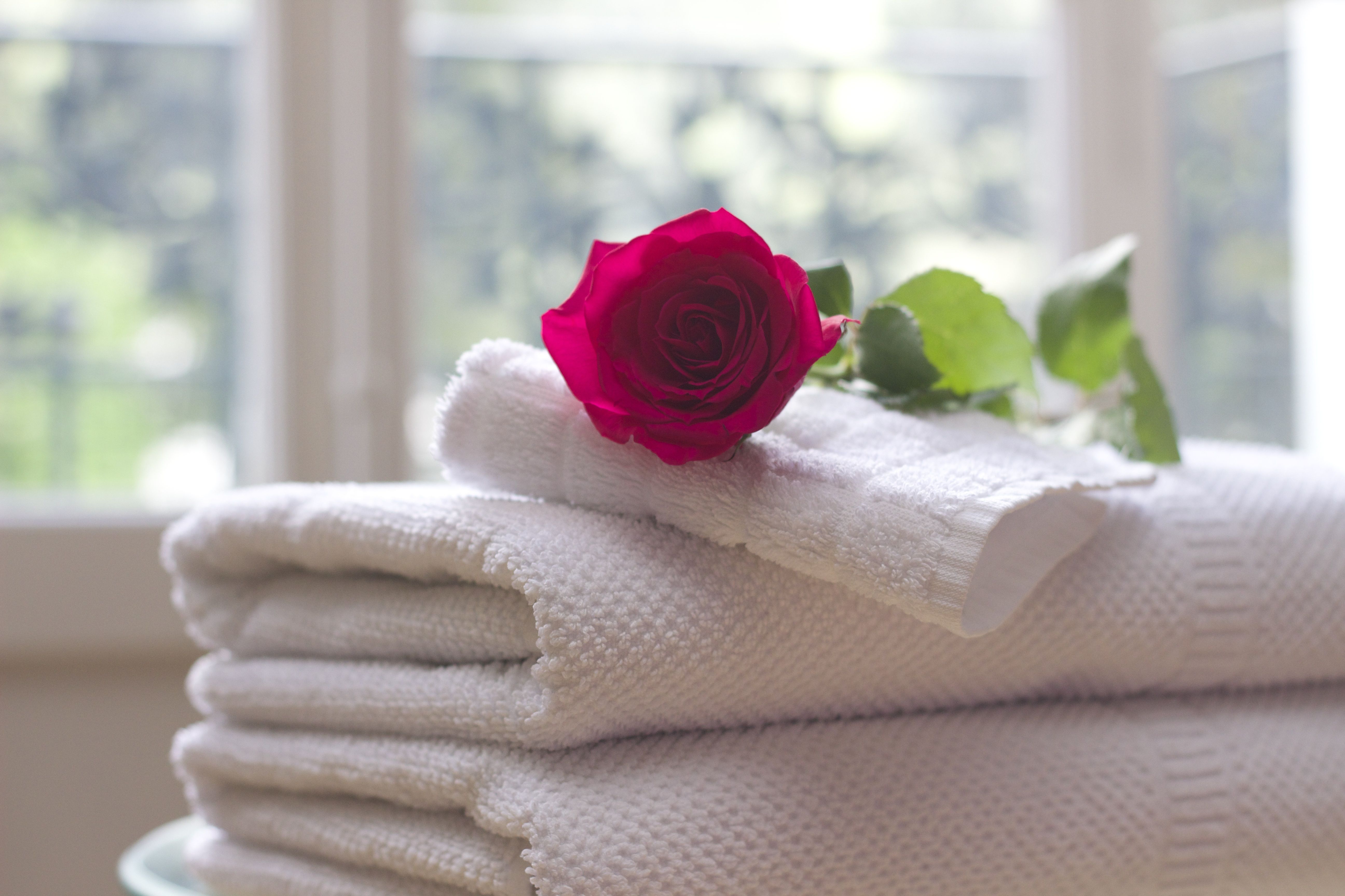 The Best Bath Towels of 2020 — ReviewThis