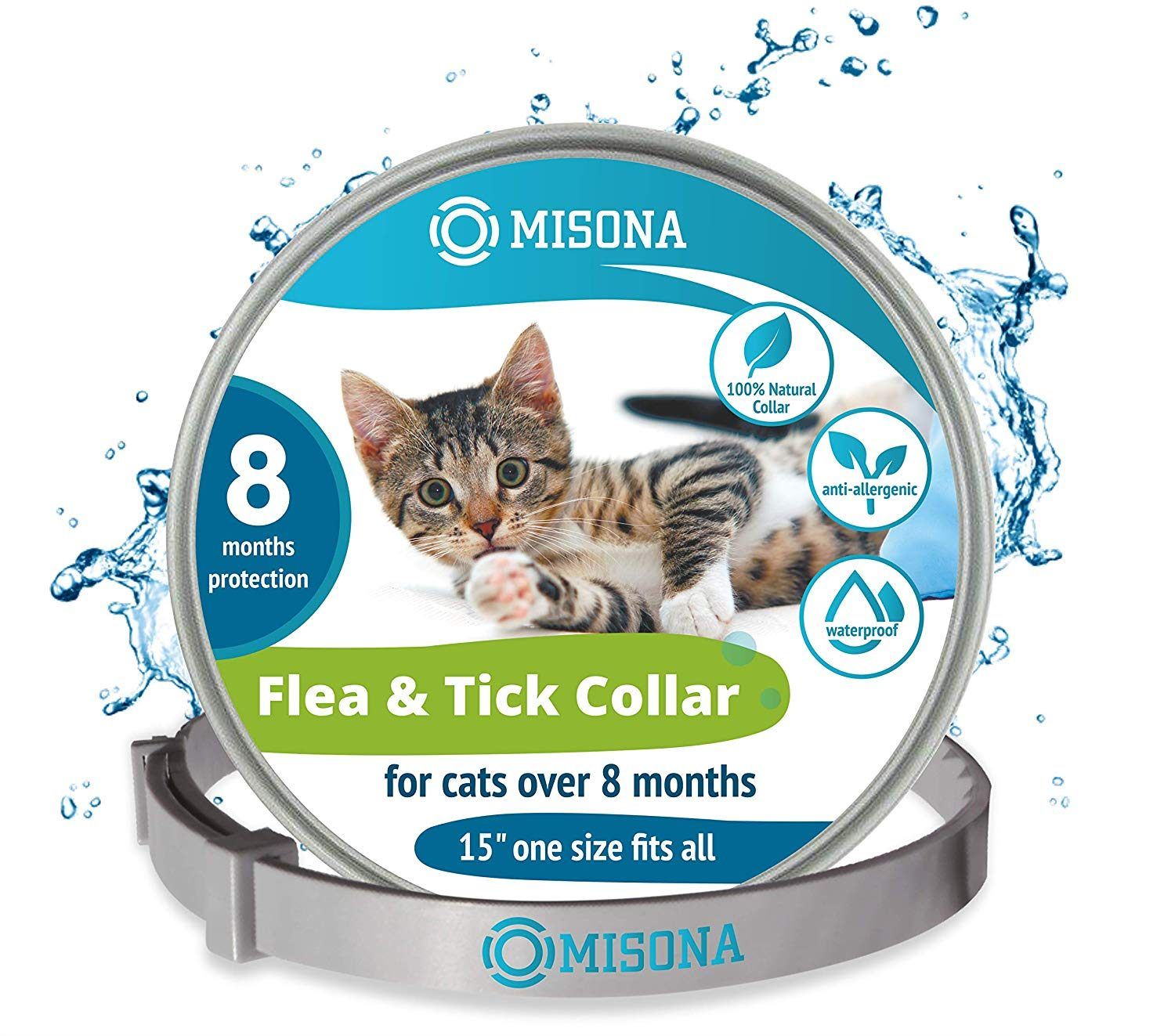 The Best Flea Treatments for Cats of 2020 — ReviewThis
