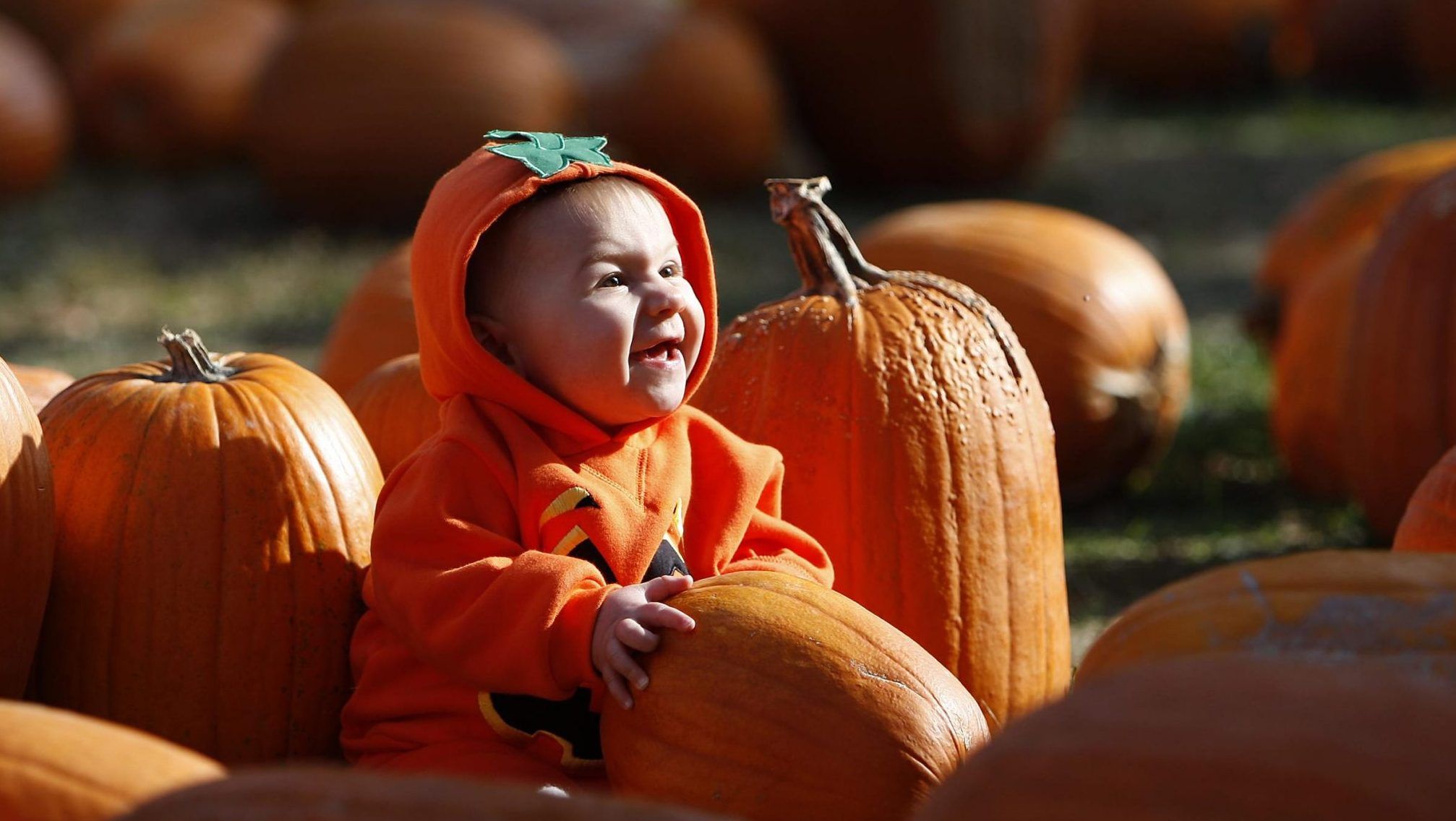 Fun Fall Outdoor Activities For Toddlers