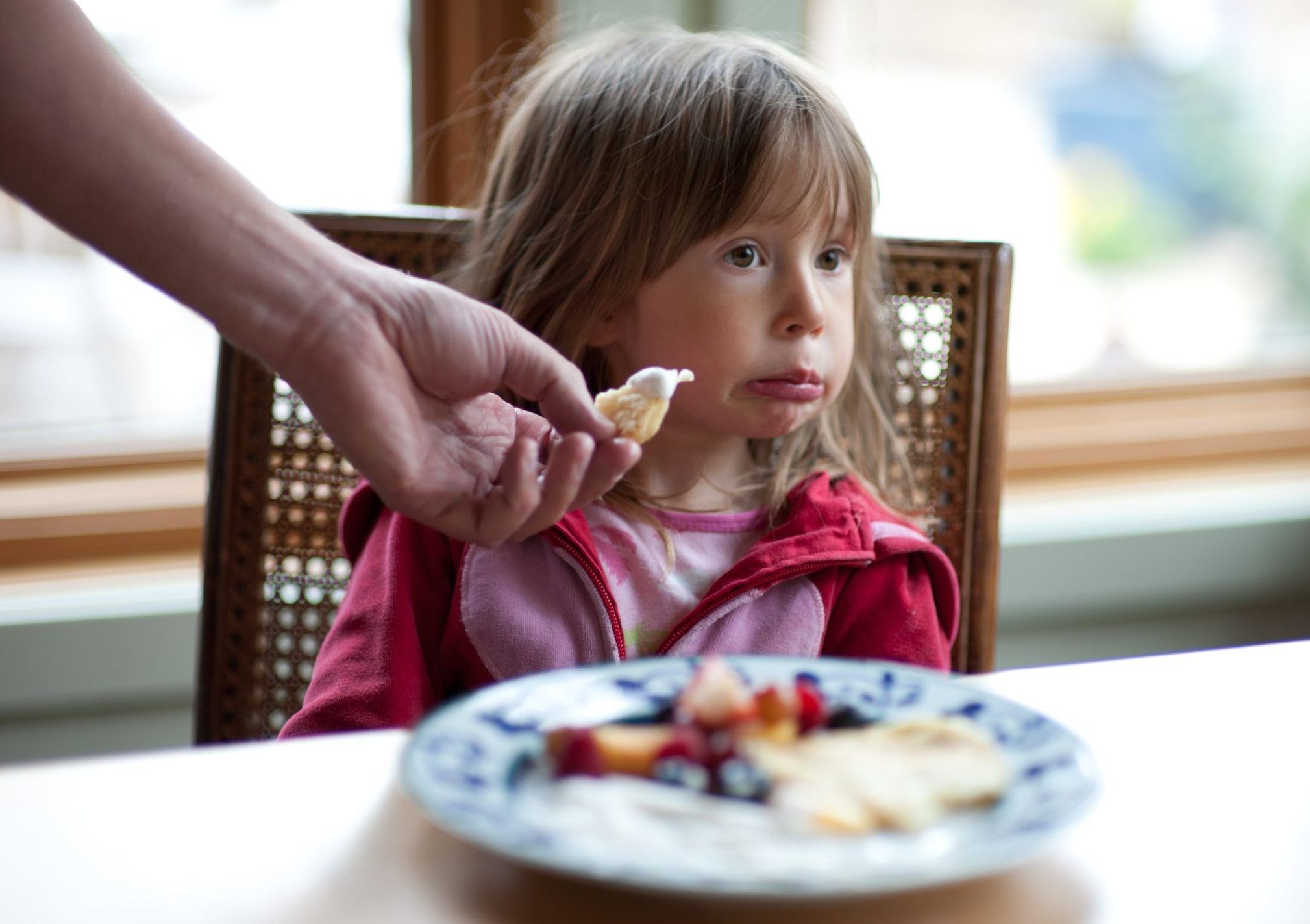 What Brand Of Dog Food Is Good For Picky Eaters