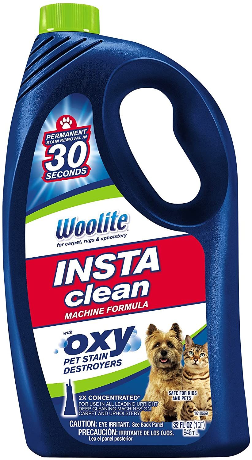 10 Best Carpet Cleaners For Pets Of 2022 — ReviewThis