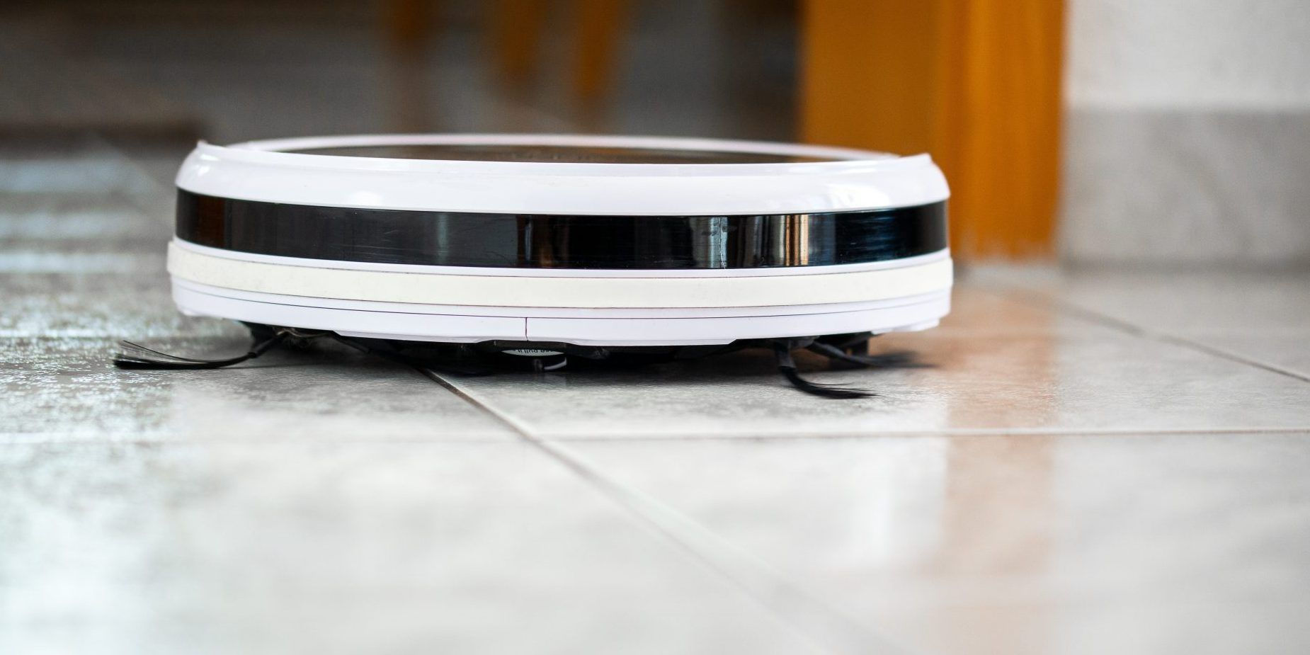 10 Best Robot Vacuums For Pets Of 2022 — ReviewThis